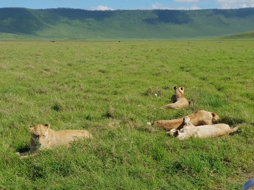 Ngorongoro-Conservation-Area-2