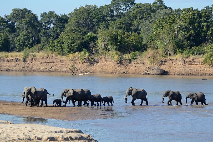 South-Luangwa-National-Park-2